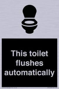 This toilet flushes automatically